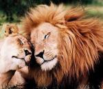 rasgos de estar enamorado