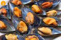 mejillones