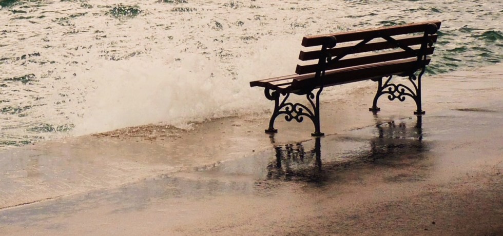 Vivo y coleando. Mil y una cosas que nos hacen sentir vivos. José Ramón Chaves.