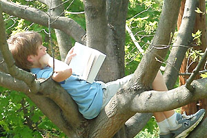 arbol leyendo