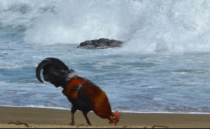 captura-de-pantalla-2017-03-01-a-las-18-22-44