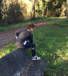 Captura de pantalla 2017-11-19 a las 21.13.59