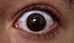 4620939443_7217ebd03c_z